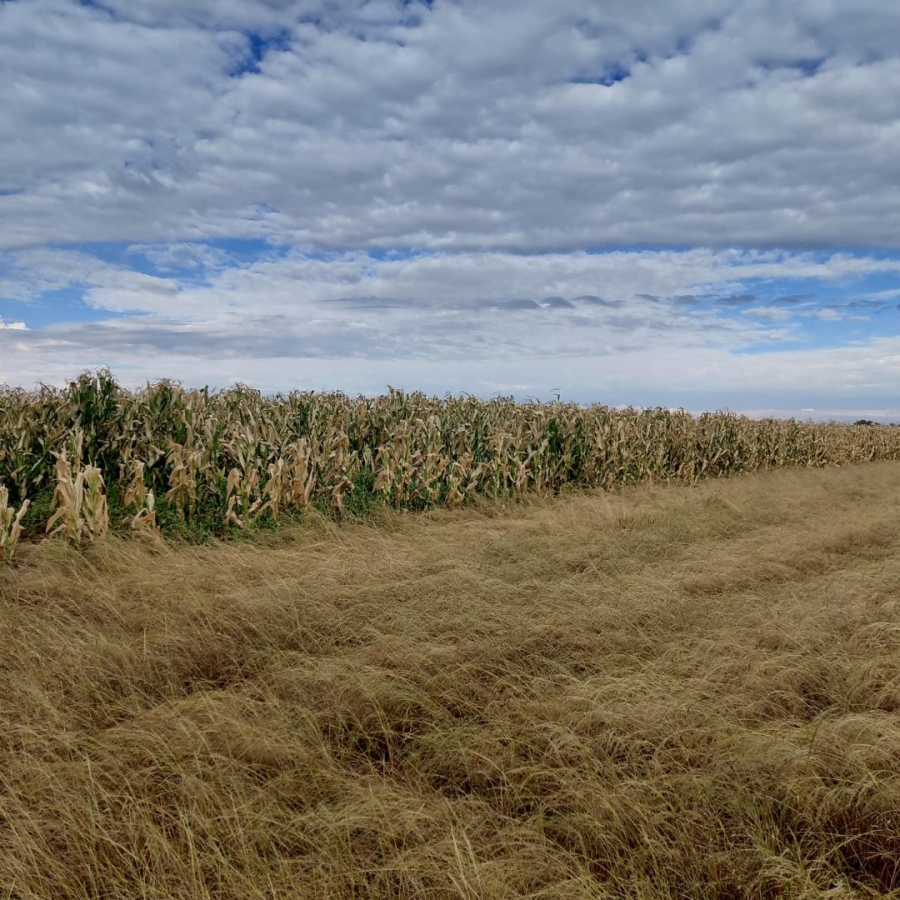 Commercial Property for Sale in Bloemfontein Rural Free State